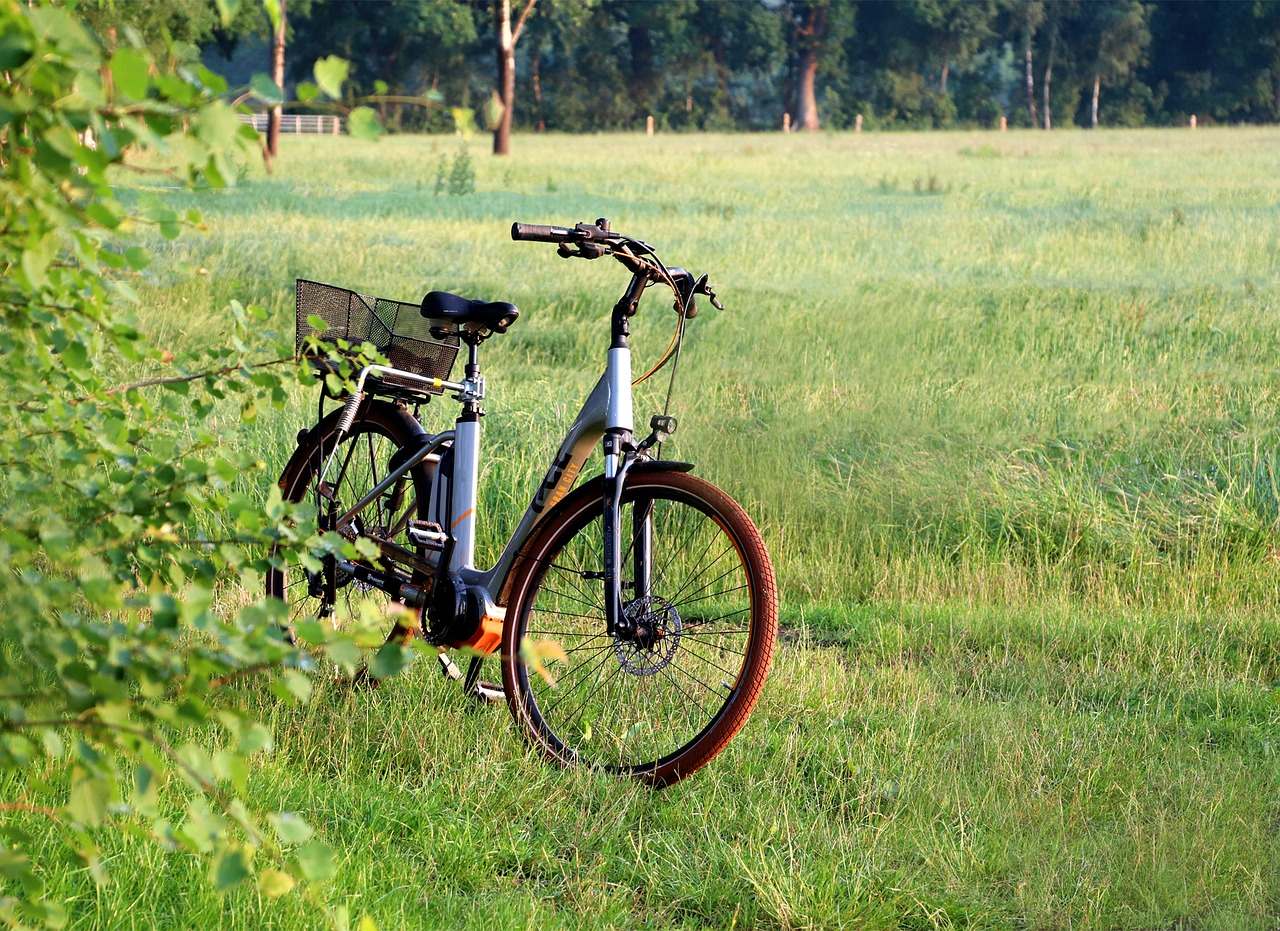 vélo électrique garé dans un champ avec batterie visible