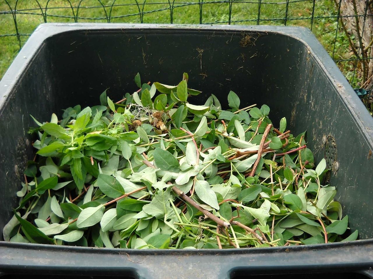 9 astuces pratiques pour réduire les déchets en cuisine