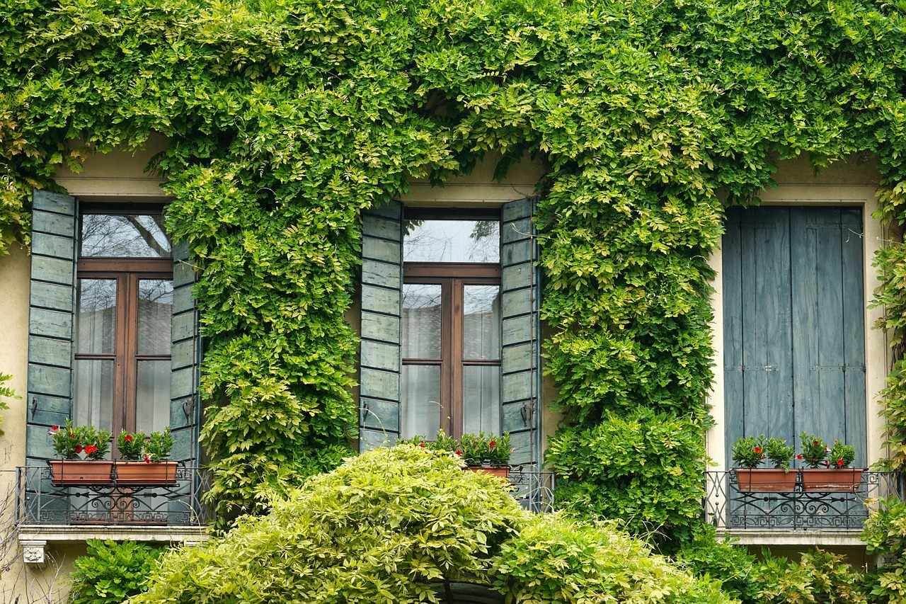 façade d'immeuble recouverte de végétation
