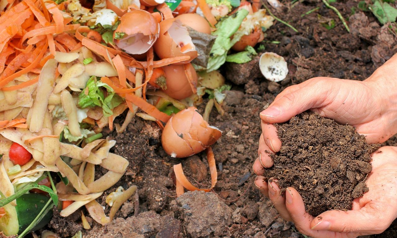 mains avec compost et épluchures de légumes dans la terre