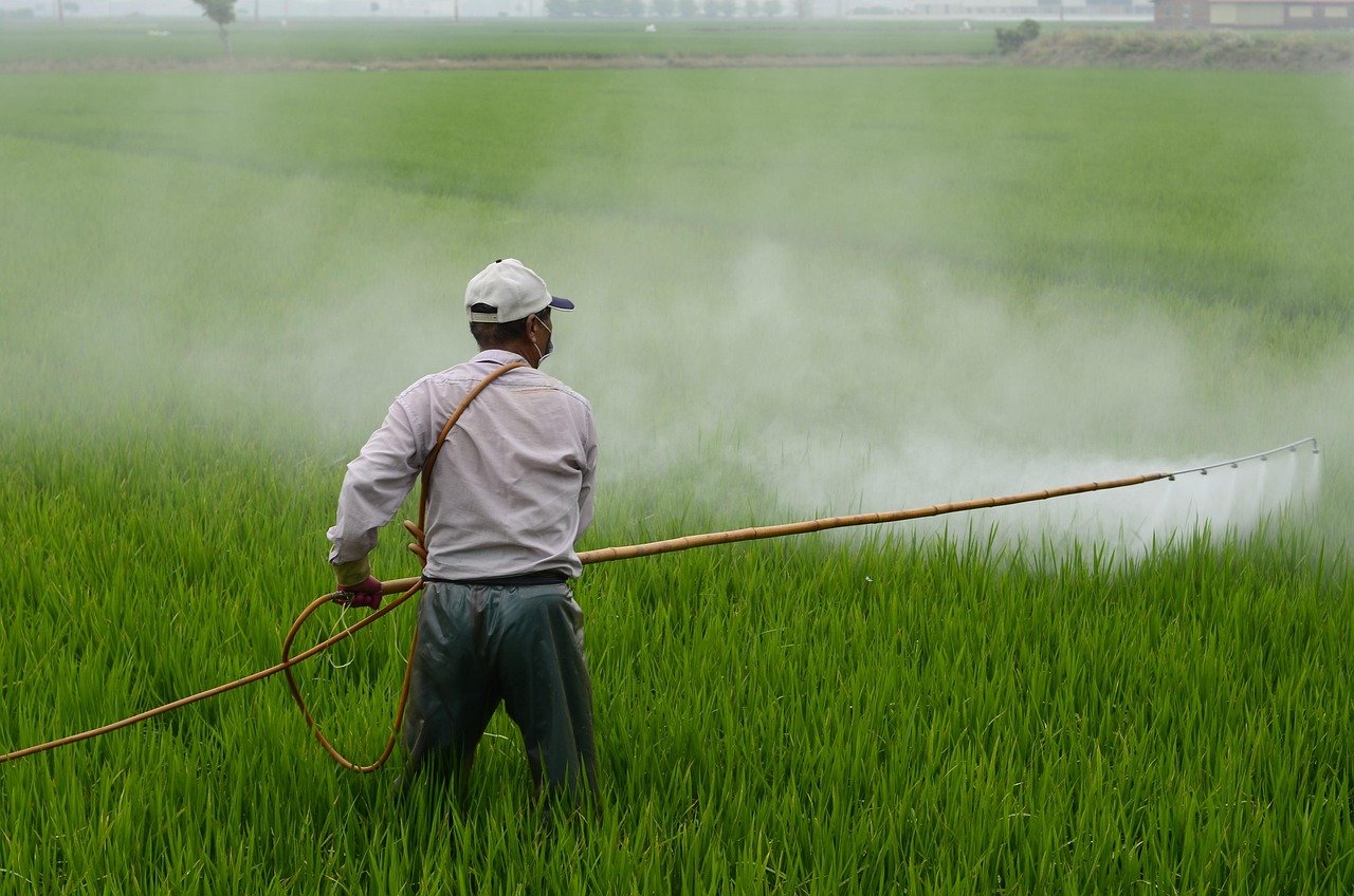 agriculteur pulvérisant un pesticide avec un pulvérisateur à main