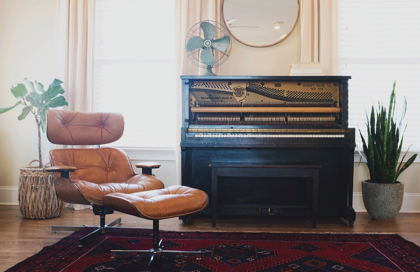 Éclairage économique pour un salon cosy