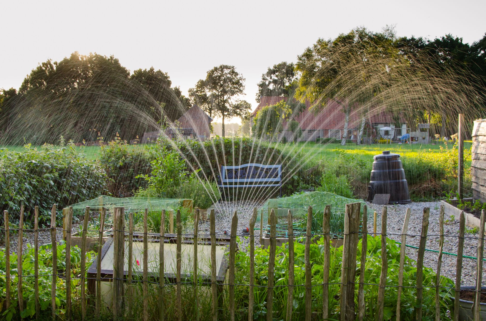Préserver son jardin face à la sécheresse : conseils pratiques