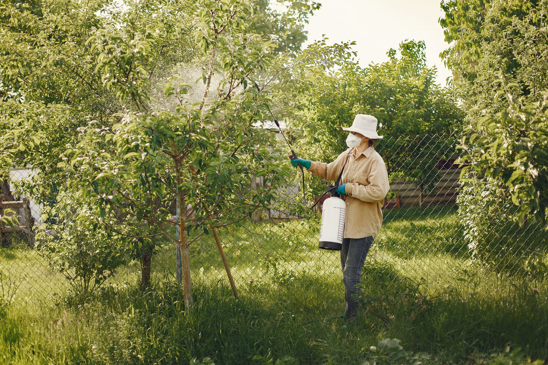 Comment se faire indemniser en cas de dommages liés aux pesticides ?