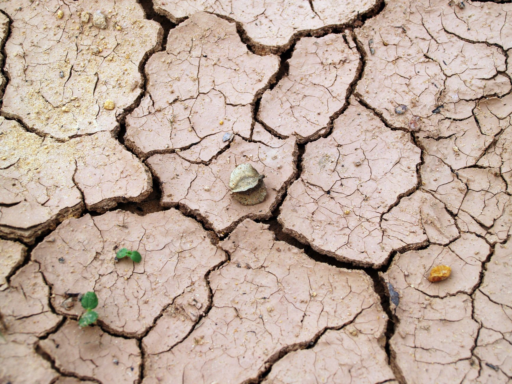 Se préparer aux conséquences d'un super El Niño sur votre habitat