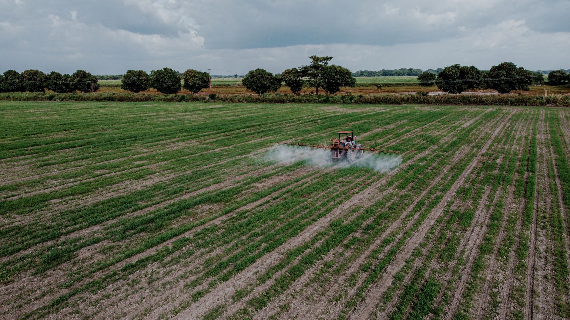 Les pesticides augmentent-ils le risque de cancer chez les enfants ? Oui, voici pourquoi