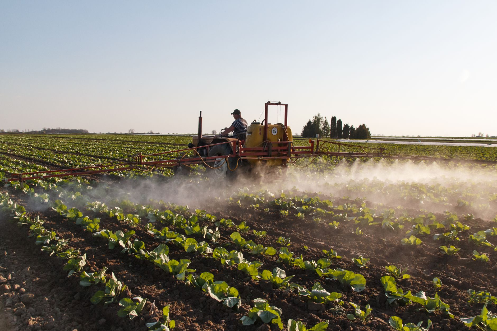 Nitrates dans l'eau potable en Bretagne : quels risques pour votre santé ?
