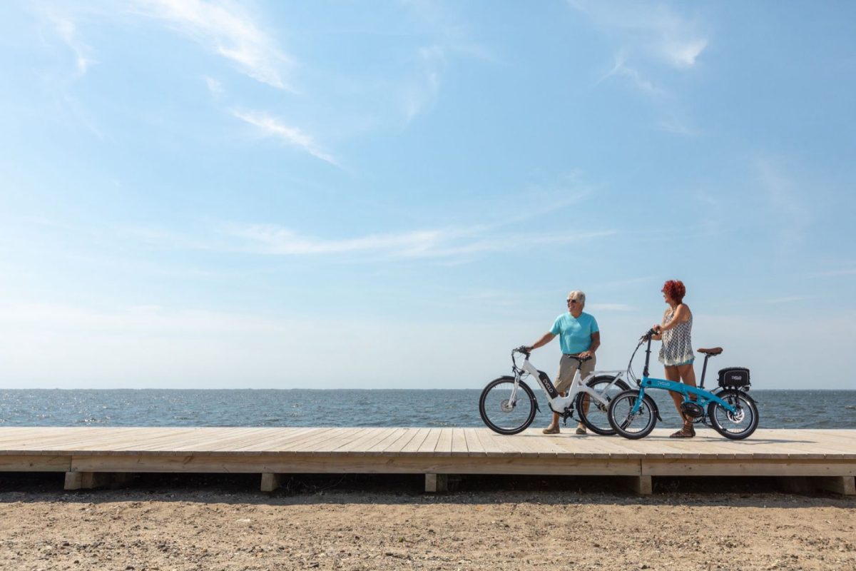 Vélo électrique pliant pour trajets quotidiens