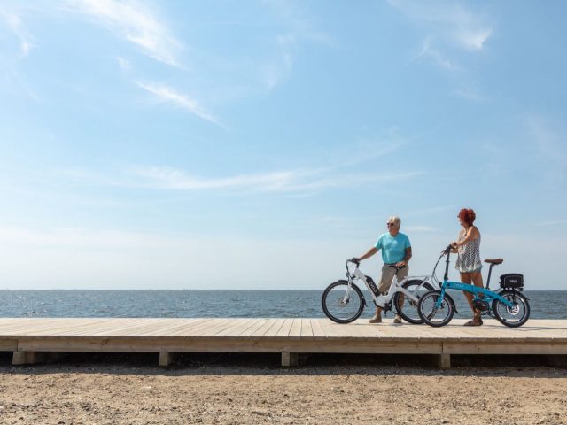 Vélo électrique pliant pour trajets quotidiens