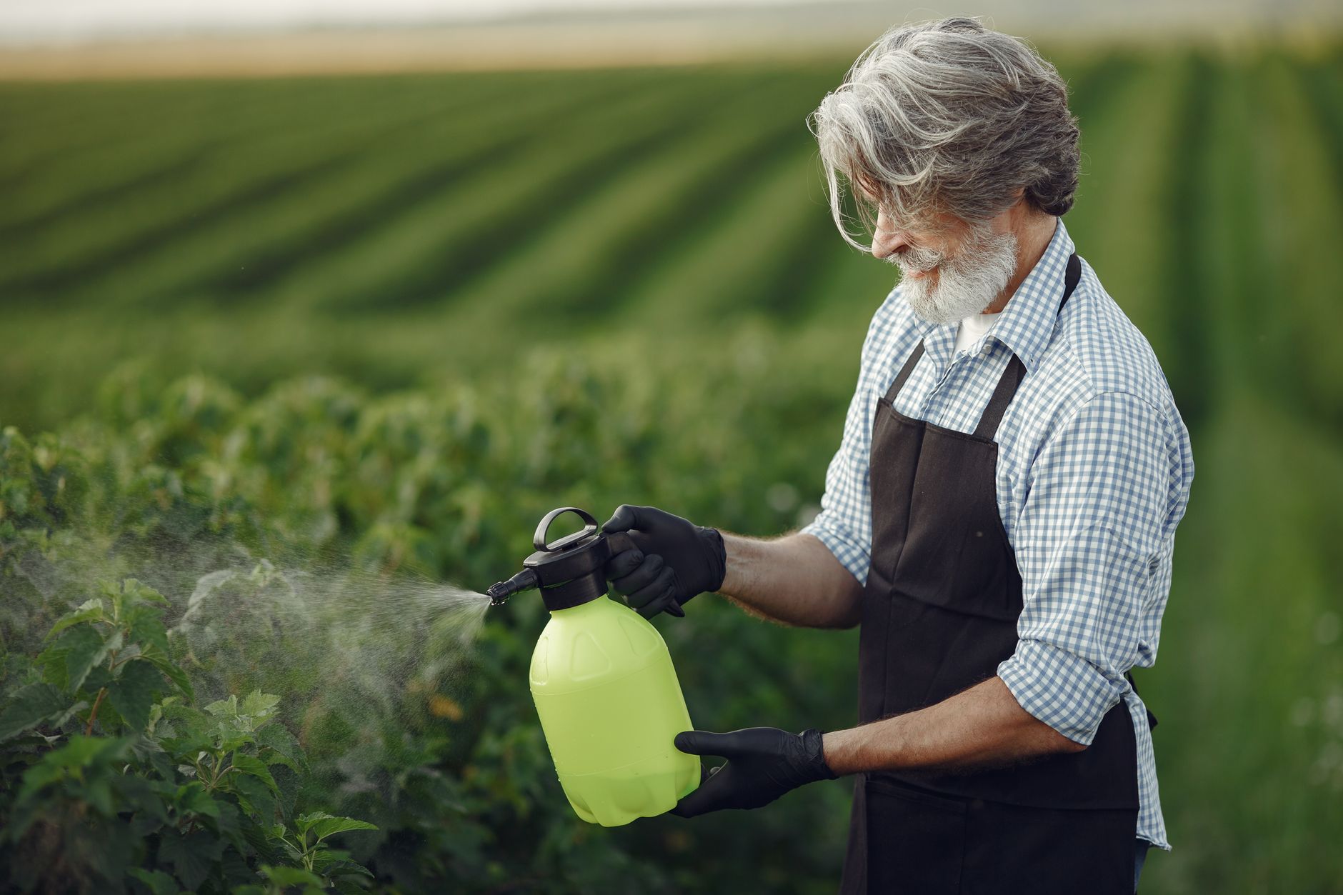 Dès maintenant, les pesticides coûtent cher à votre santé et à votre budget