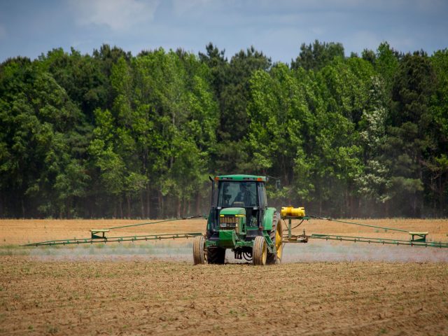 Les pesticides sont-ils sûrs ? Études récentes révèlent des effets néfastes