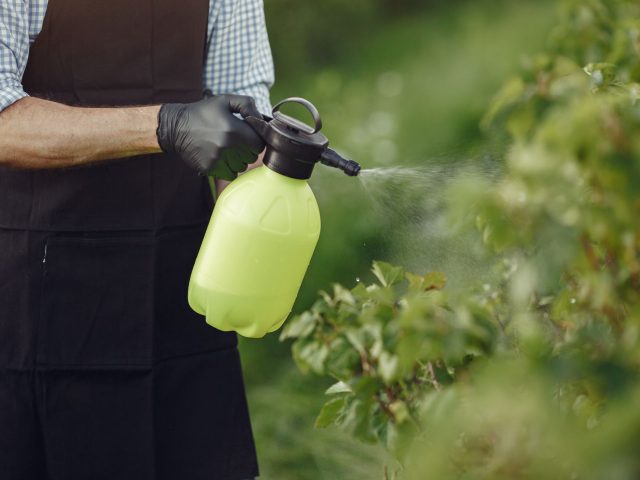 Les pesticides dans l’eau : un danger pour votre santé et votre budget ?