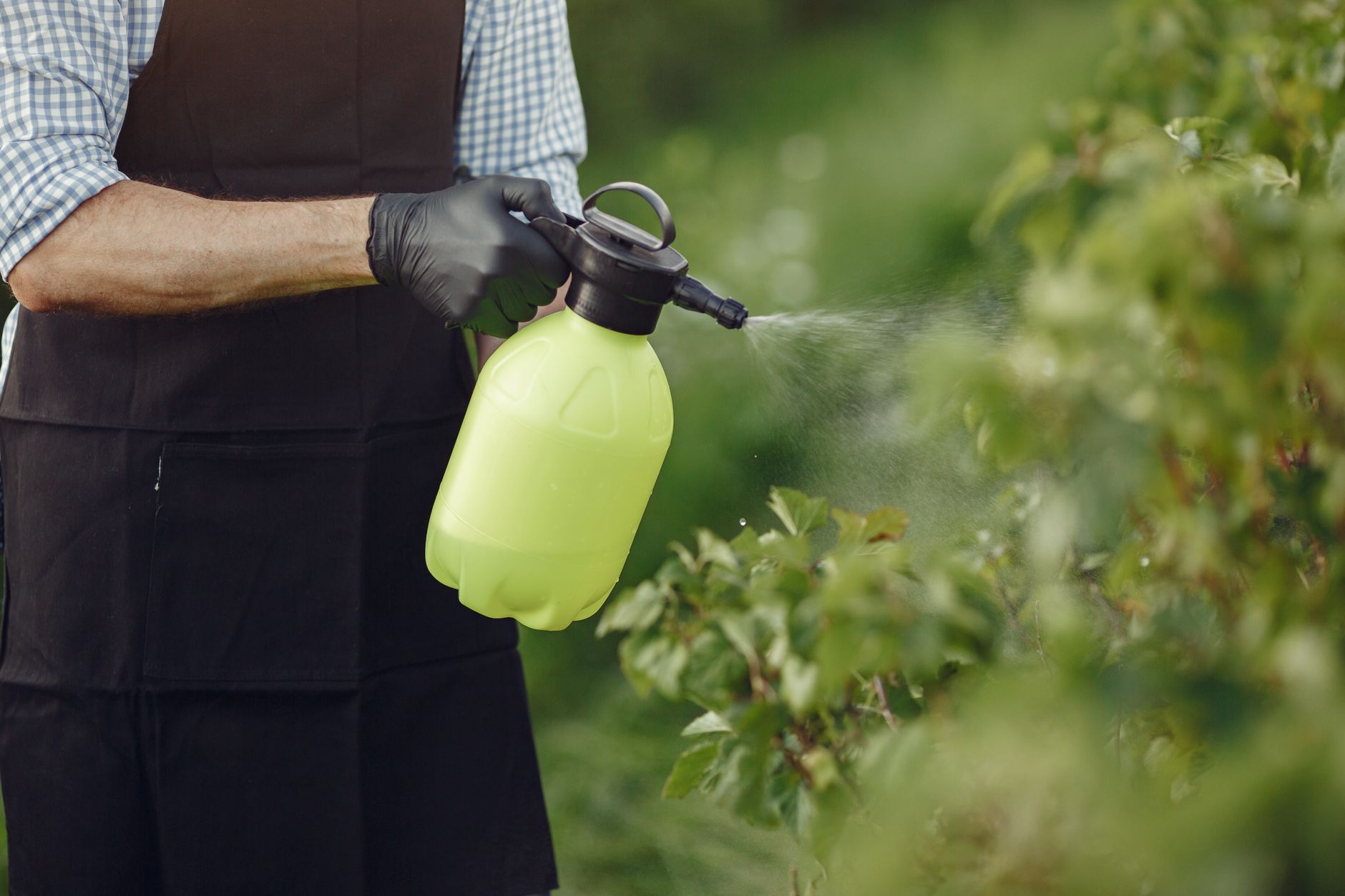 Les pesticides dans l&rsquo;eau : un danger pour votre santé et votre budget ?