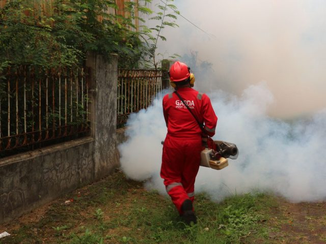 Les pesticides augmentent-ils le risque de cancer chez les enfants ? Oui, voici pourquoi