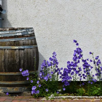 Comparatif systèmes de récupération d’eau de pluie pour jardin