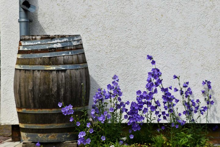 Comparatif systèmes de récupération d’eau de pluie pour jardin