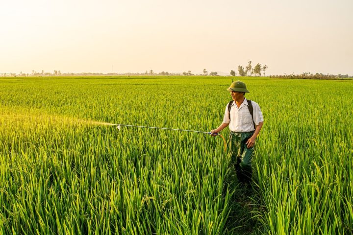 Les pesticides augmentent-ils le risque de cancer chez les enfants ? Oui, voici pourquoi