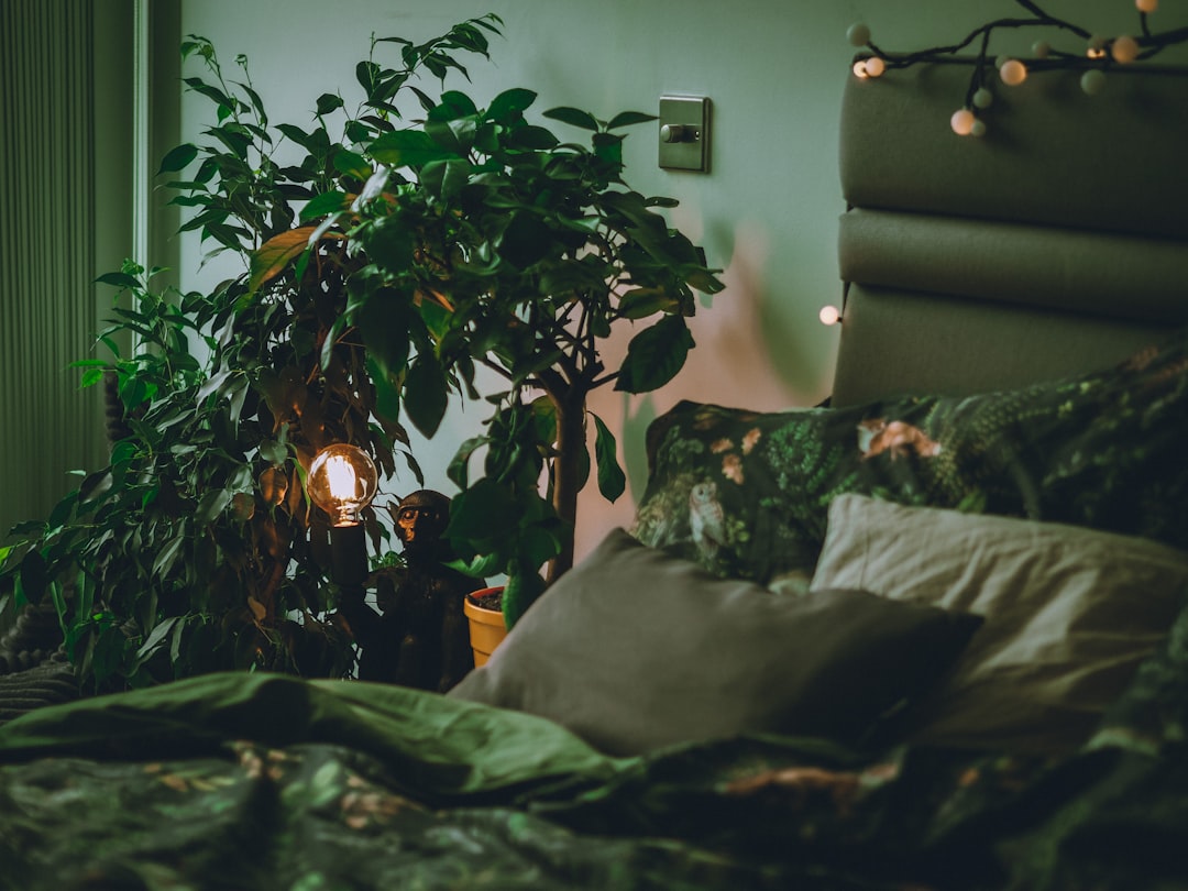 Plantes faciles pour améliorer le sommeil en petite chambre
