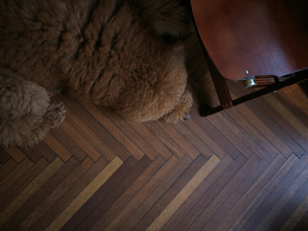 Parquet contrecollé ou stratifié : quel sol choisir