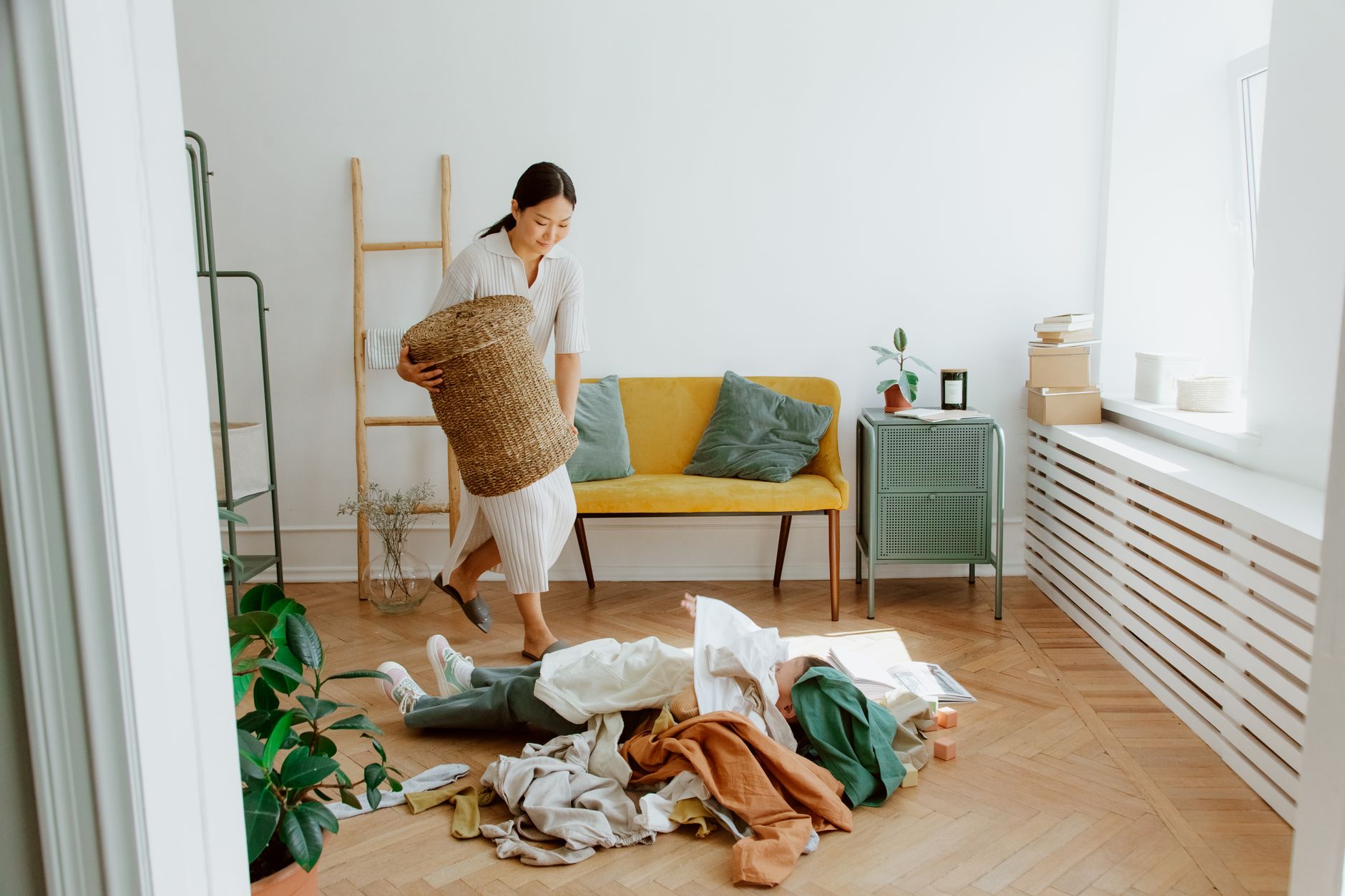 Meilleures plantes pour purifier l'air intérieur : classement et