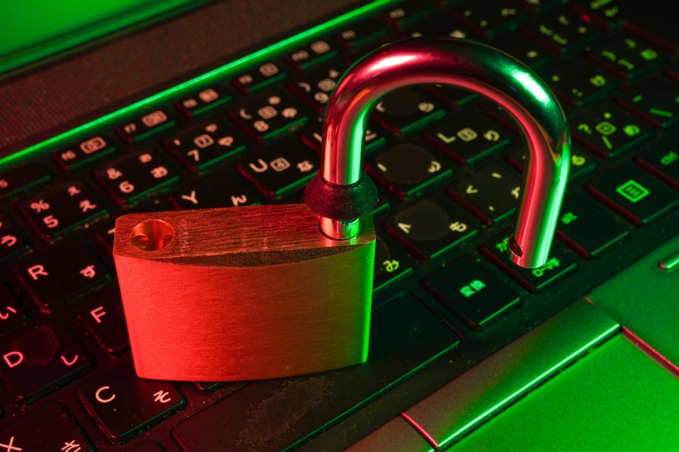 Bitwarden ou 1Password : quel gestionnaire de mots de passe