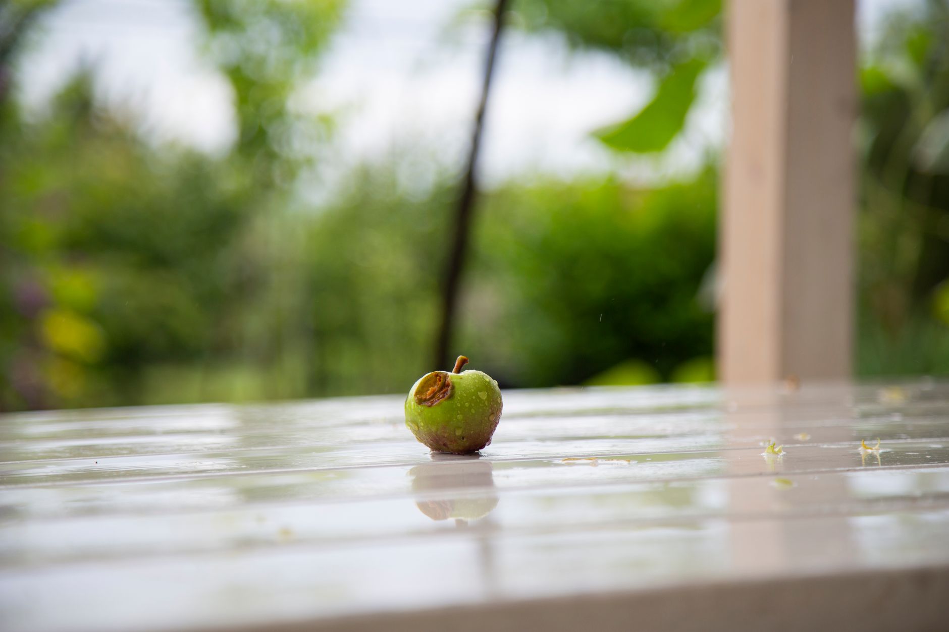Canicule 2026 : vers une hausse du prix du cidre pour les consommateurs ?