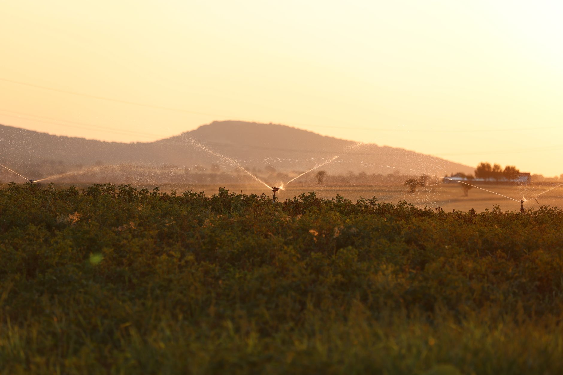 Irrigation en Provence : un projet qui pourrait alourdir votre facture