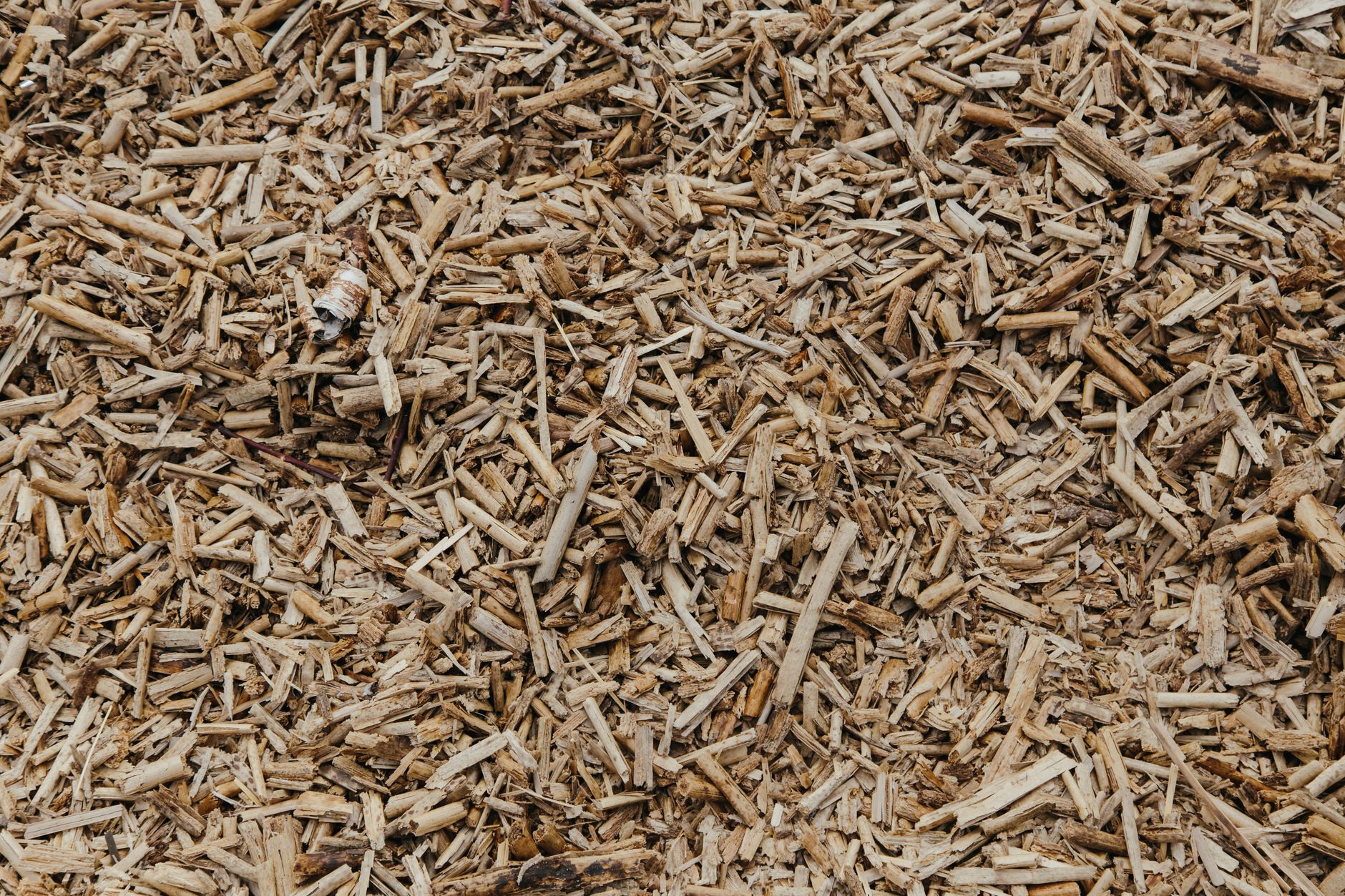 8 astuces incontournables pour entretenir votre jardin sans effort