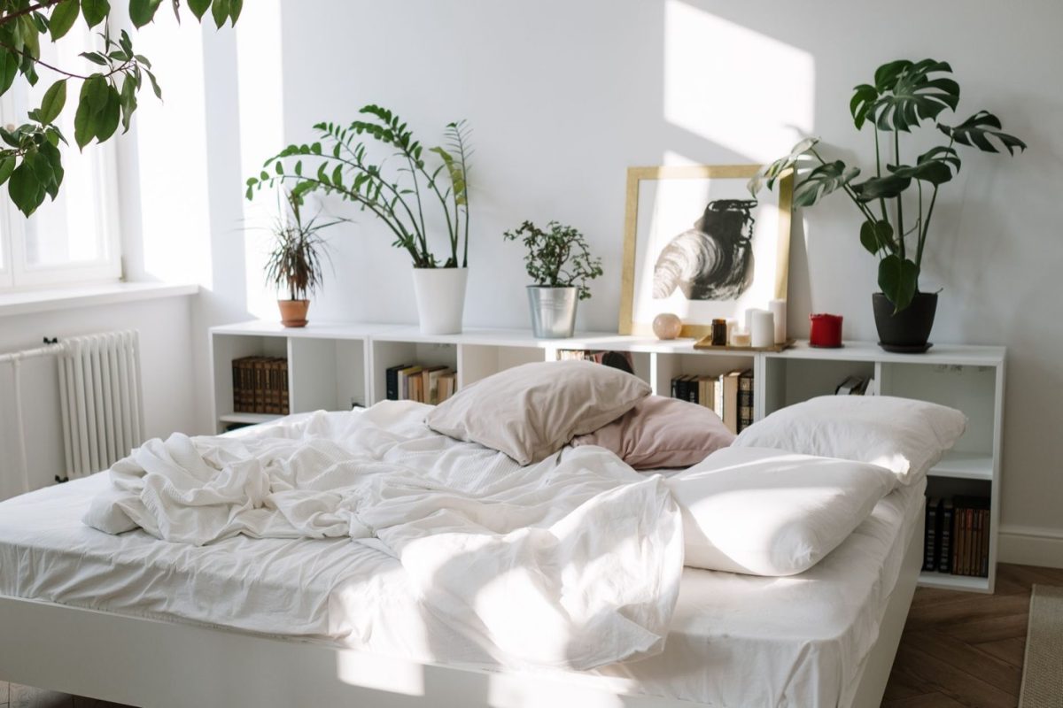 Plantes faciles pour améliorer le sommeil en petite chambre