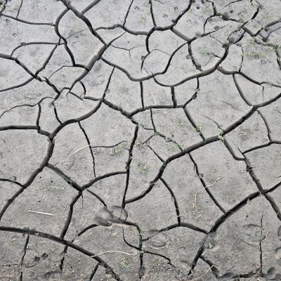 L&rsquo;impact des canicules et incendies de l&rsquo;été 2026 sur votre budget familial