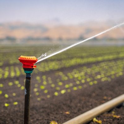 Irrigation en Provence : un projet qui pourrait alourdir votre facture
