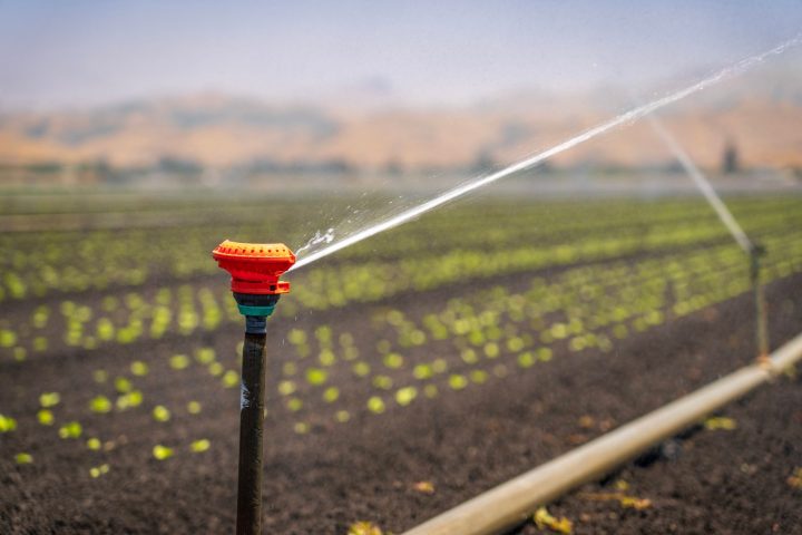Irrigation en Provence : un projet qui pourrait alourdir votre facture