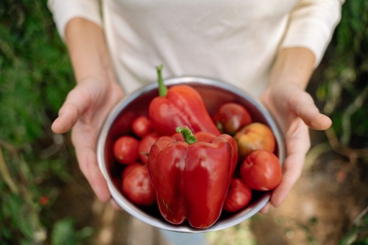 Pesticides : Comment l’augmentation des seuils impacte votre santé et votre portefeuille ?