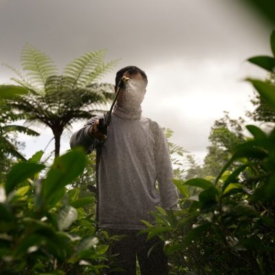 Pesticides et enfants : comment réduire le risque des perturbateurs endocriniens ?