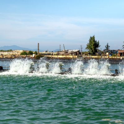 Gestion de l&rsquo;eau : comment cela va impacter votre budget familial