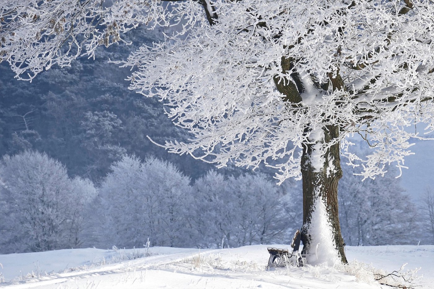 Trêve hivernale 2026 : dates et protections pour locataires